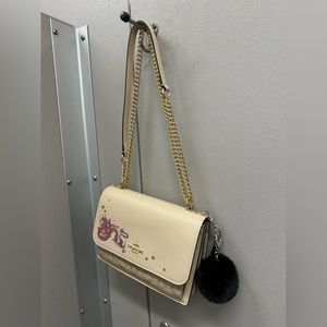 Coach lunar near year